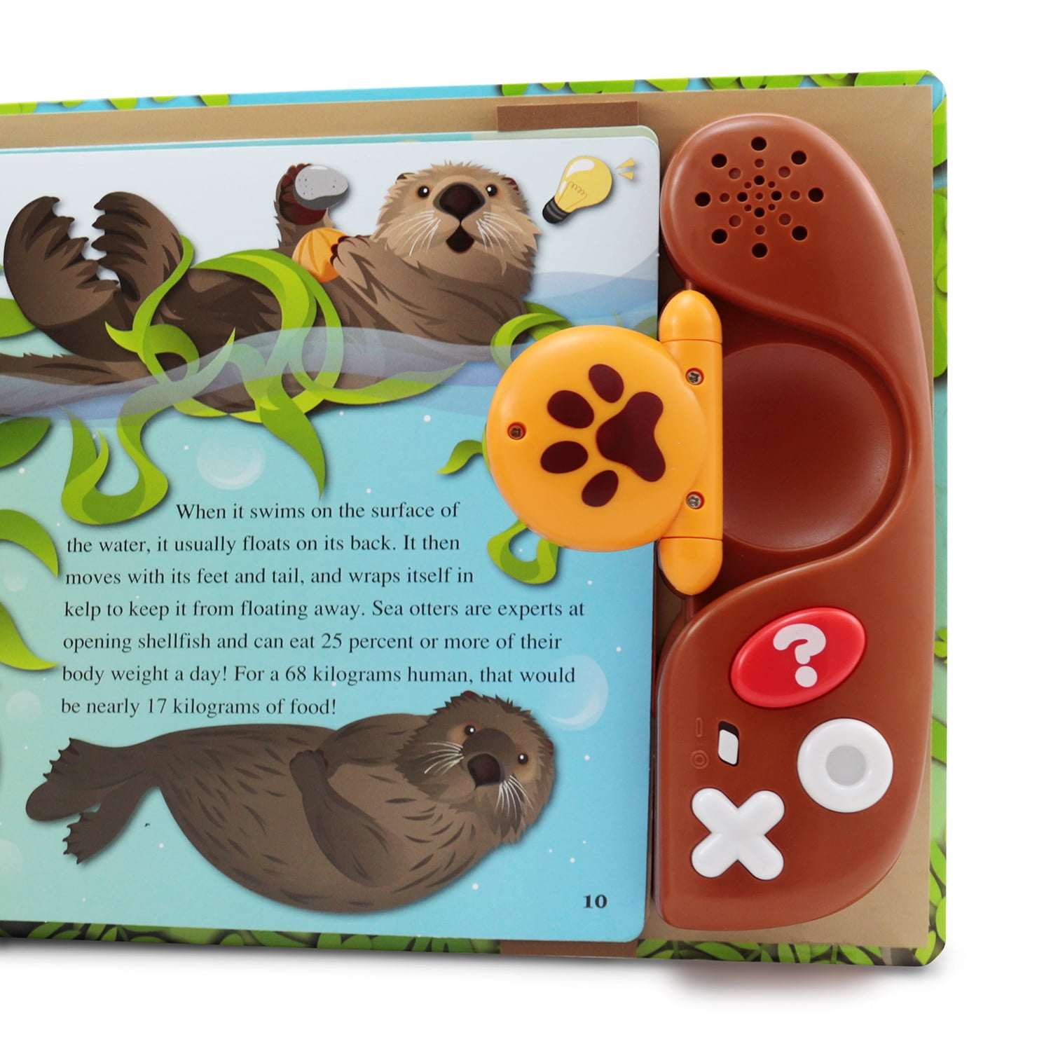 BEST LEARNING Interactive Books with Animal Facts – Fun Educational Reader for Kids Ages 3-8, Perfect Gift Idea - Image 3