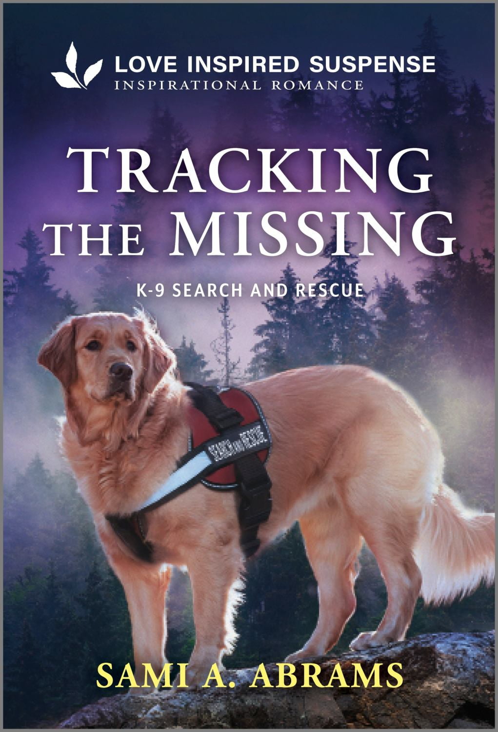 Sami A. Abrams: Tracking the Missing (Paperback)