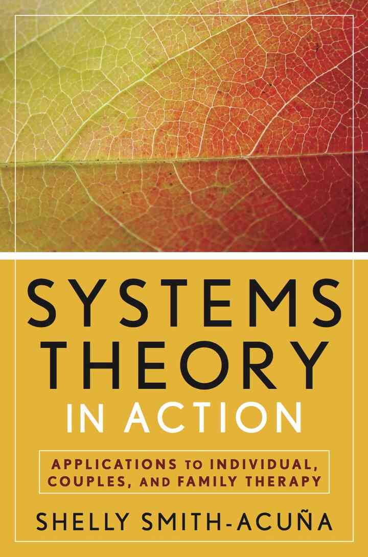 Systems Theory in Action: Applications to Individual, Couple, and Family Therapy, 1st Edition