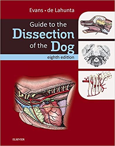 Guide to the Dissection of the Dog ? (.Net Developers)